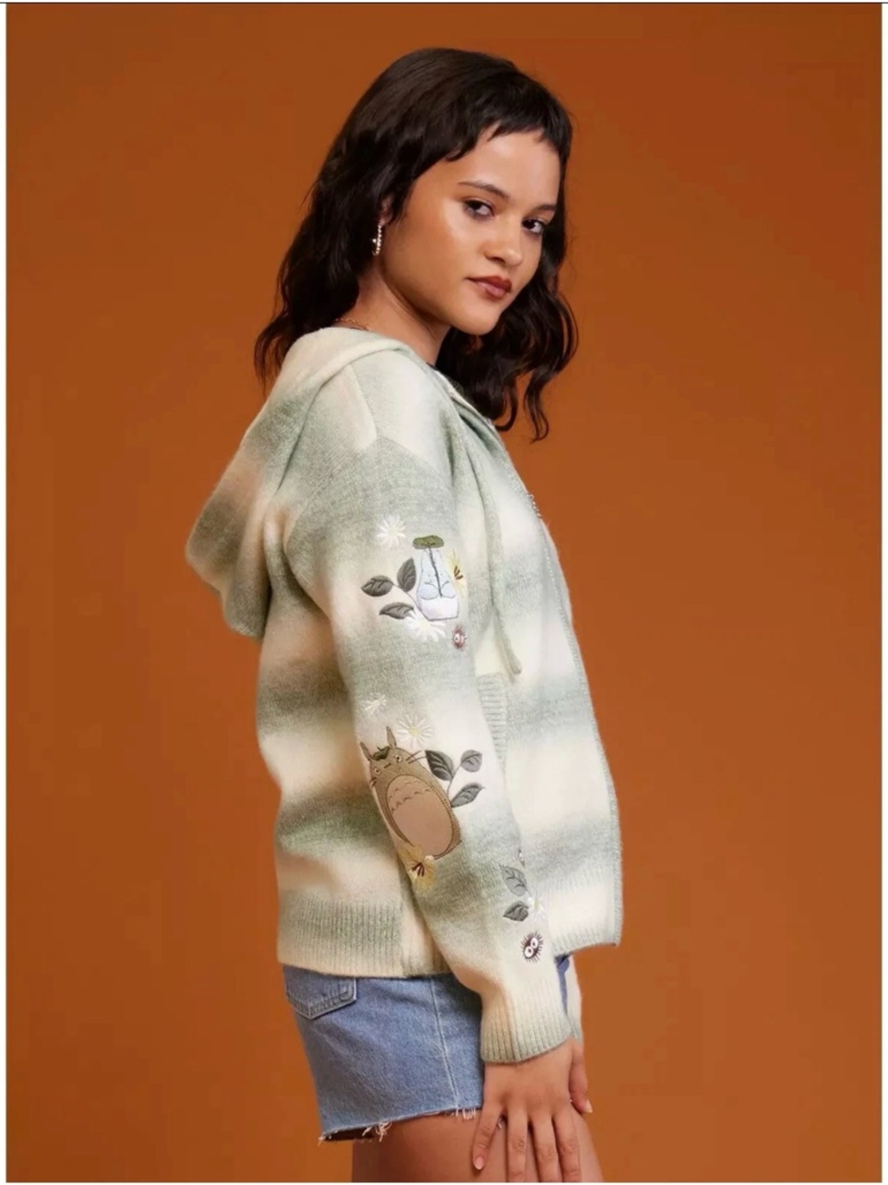 Her Universe My Neighbor Totoro Marled Striped Hoodie Studio Ghibli HotTopic L